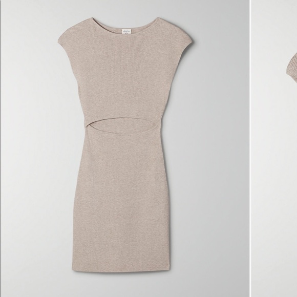 Aritzia Dresses & Skirts - Aritzia cut out knit dress